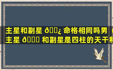 主星和副星 🌿 命格相同吗男（主星 🍀 和副星是四柱的天干和地支么）